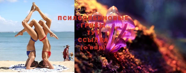 PSILOCYBIN Балахна