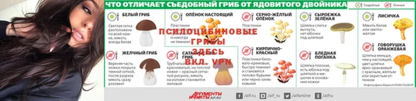 не бодяженный Баксан