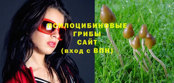 твердый Балабаново